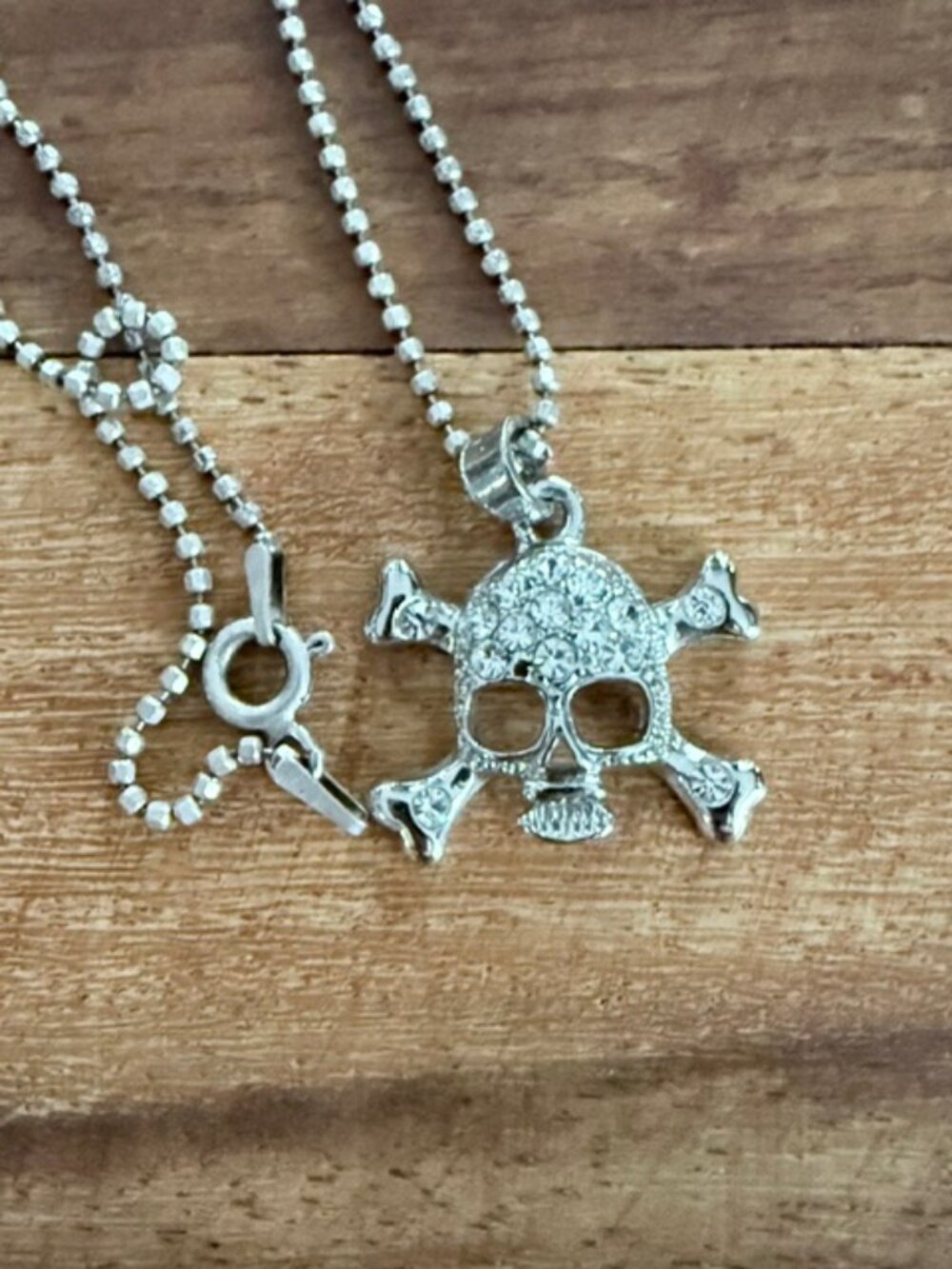 Skull Pendant + Necklace